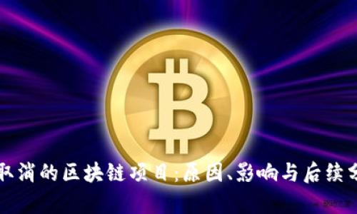 被取消的区块链项目：原因、影响与后续分析
