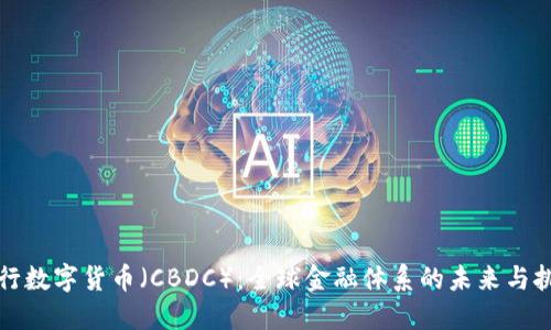央行数字货币（CBDC）：全球金融体系的未来与挑战